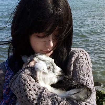 苍穹浩瀚第四季 在线观看